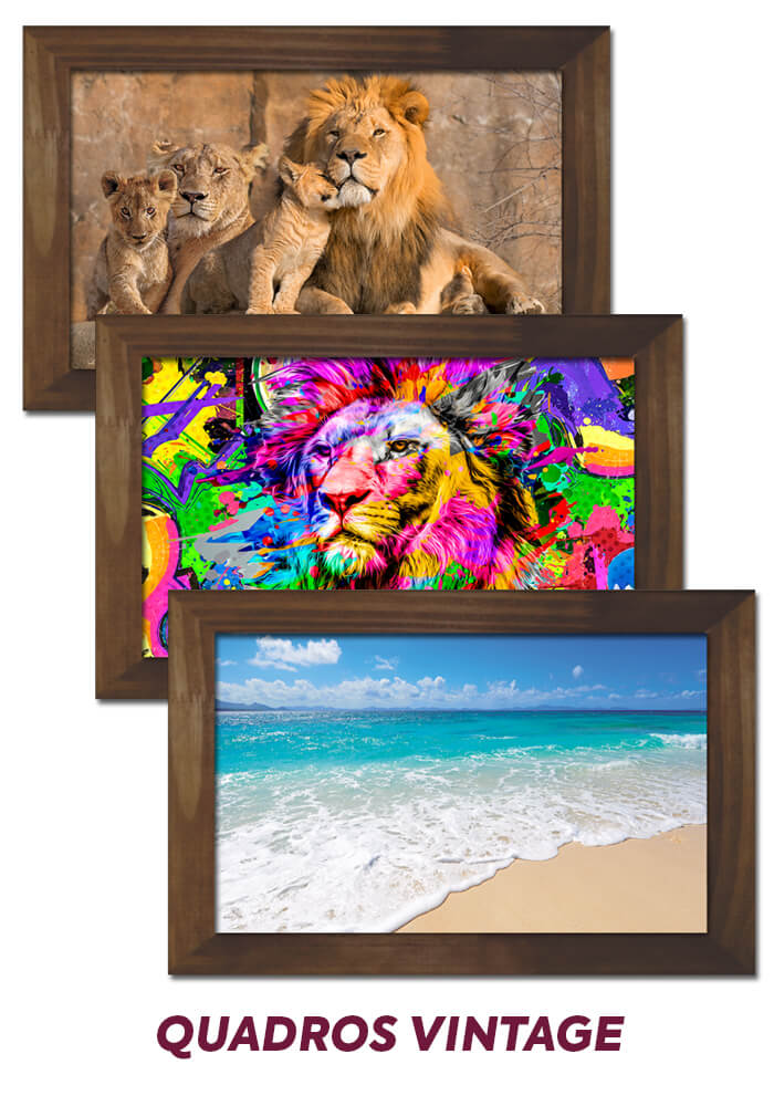 Image Gallery