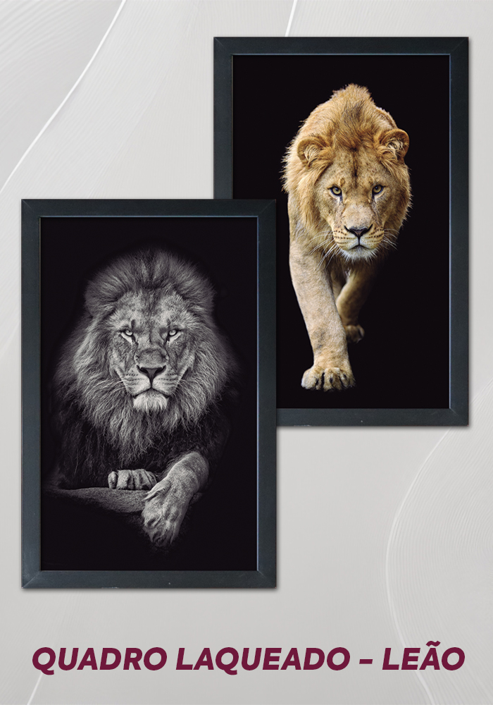 Image Gallery